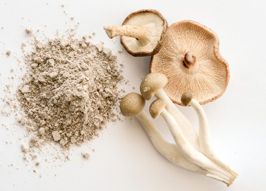 Which mushroom is best for anti-aging.png